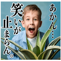 煽る　子供アガベラバー