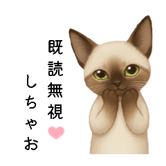 猫の【クールな返信スタンプ】