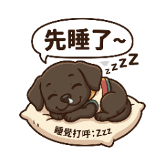 mini DOG Cute my shihhung