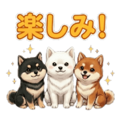 かわいい豆柴の日常（第3弾）