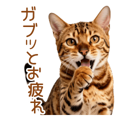 甘噛みベンガルのワイルド敬語