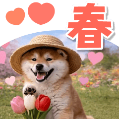 飛び出す♡春のほんわかシバちゃん