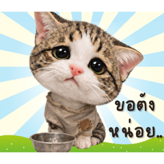 Is this a cat or a person?