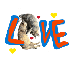 KwanjiiThailand_20260419112939