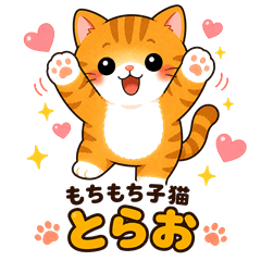 もちもち子猫「とらお」