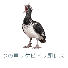 つの声サケビドリ即レス