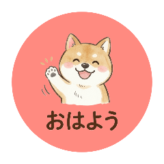 かわいいわんちゃん♡挨拶