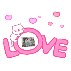 morio_20260613032125