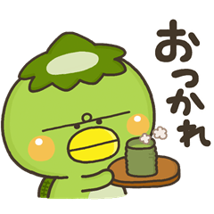 毎日、かっぱさん。