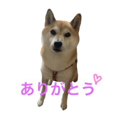 太郎スタンプー日常会話編ー