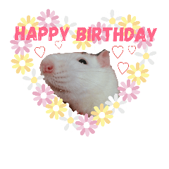 ファンシーラット2