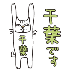 ばんざい猫 千葉用