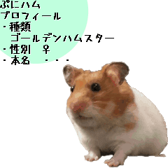 動く！ハムスターのぷにハム
