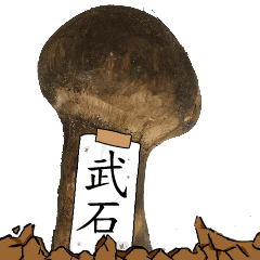 松茸研究家武石さんのマツタケ