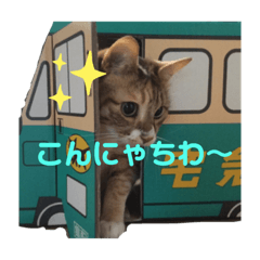 キジトラ猫 変猫メリーさん ねこ スタンプ