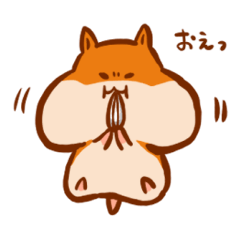 ゴールデンハムスター先輩