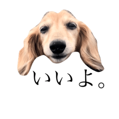 なつおさんと愉快な仲間たち。