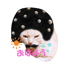 宮立家のペット達✳♥