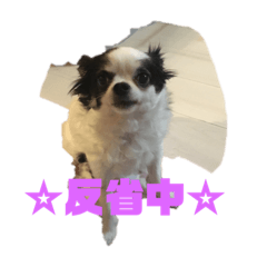 バレリースタンプ