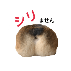 チョコスタンプ4