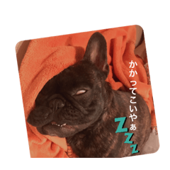 むーらいだー　2