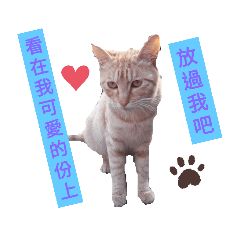 Sophia_20200322174934