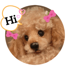 トイプー♡ワン！フレーズvol.1