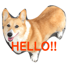 ころんちゃんのスタンプ