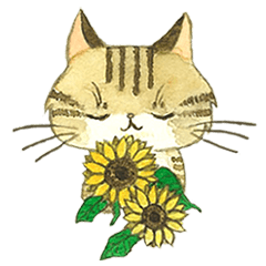 キジトラ猫のこてつさん