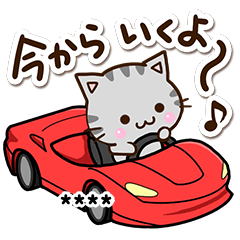 おちゃめなアメショ【カスタム】