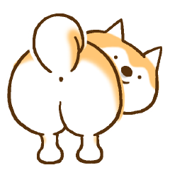 柴ちん3 柴犬と散歩