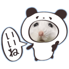 まるッとペットハムスター　デグーインコ犬