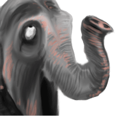 Happy Elephant Pop-Up