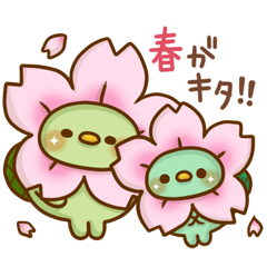 かっぱさん出番です！17(春)