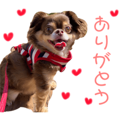 もっぴすたんぷ♡