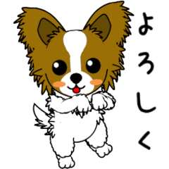 動く！パピヨンの日常[Part 3]