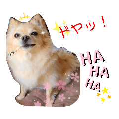 ナナちゃんスタンプ【よく使うワン③】