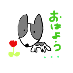 大好きポピーちゃん