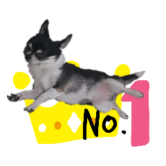 チワワのアンナさんの使いにくいスタンプ