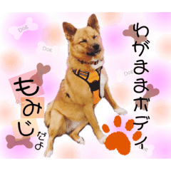 わがままボディもみじだよ