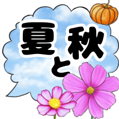 夏〜秋の癒されるお花♪青空の吹き出し