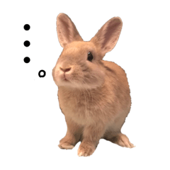 子うさぎのスタンプ