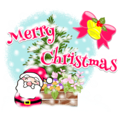 寒い時も癒される❣️冬のガーデニング