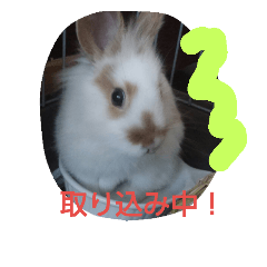 アレックスの笑顔