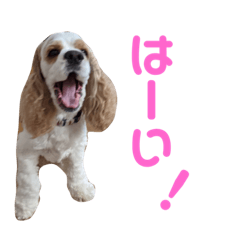 今日も1日おじょるるる