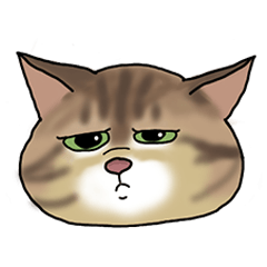 表情豊かなRinちゃん