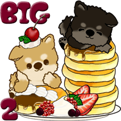 【Big】ちゃちゃ丸＆くろまろ 2 【Sweets】