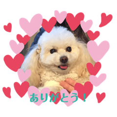 ココナ＆サンタ  スタンプ ver.1