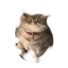 Hsuan_20220219194748