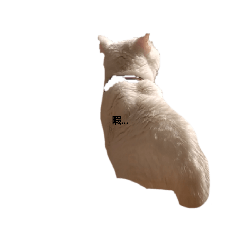 うちのペットかわいいねぇ